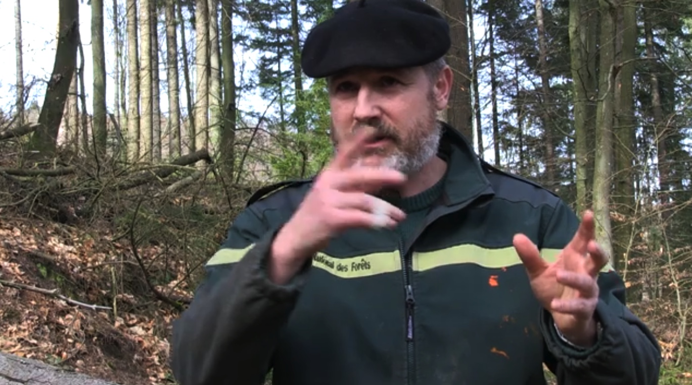 L’Office national des forêts (ONF) en plein tourment – interview de Philippe Busché