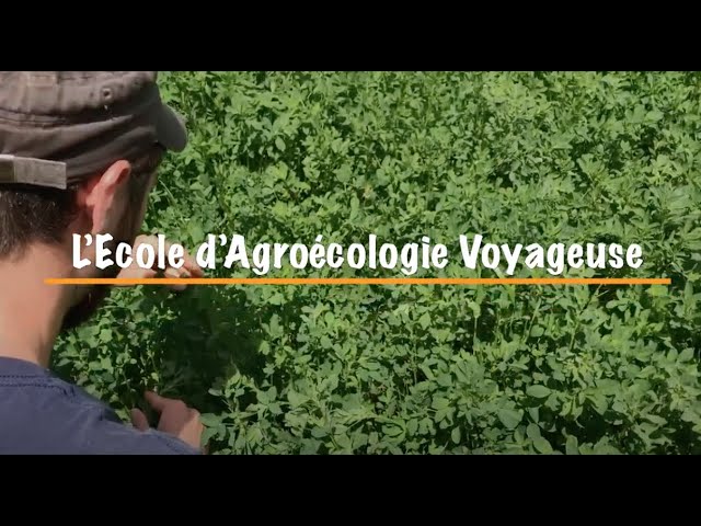 🌱 Soutenez L’École d’Agroécologie Voyageuse 🌱