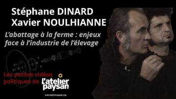 stephane-dinard-xavier-noulhiann