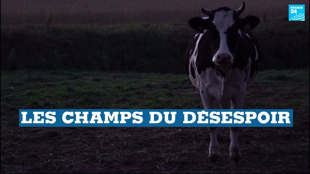 Suicide d’agriculteurs en France : Les champs du désespoir
