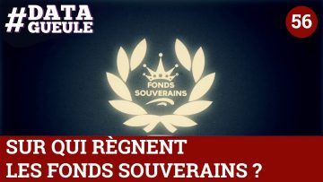 sur-qui-regnent-les-fonds-souver