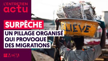 surpeche-un-pillage-organise-qui