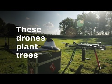 Tree-planting drones hope to fight deforestation