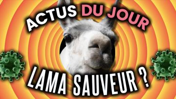 un-lama-va-nous-sauver-annonces