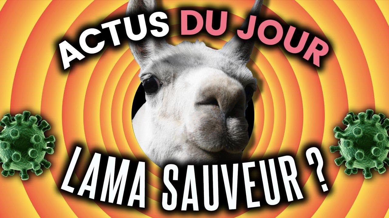 Un lama va nous sauver, annonces d’Emmanuel Macron, drame aux Etats-Unis…. Les actus du jour