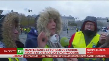 une-gilet-jaune-quil-vive-avec-1