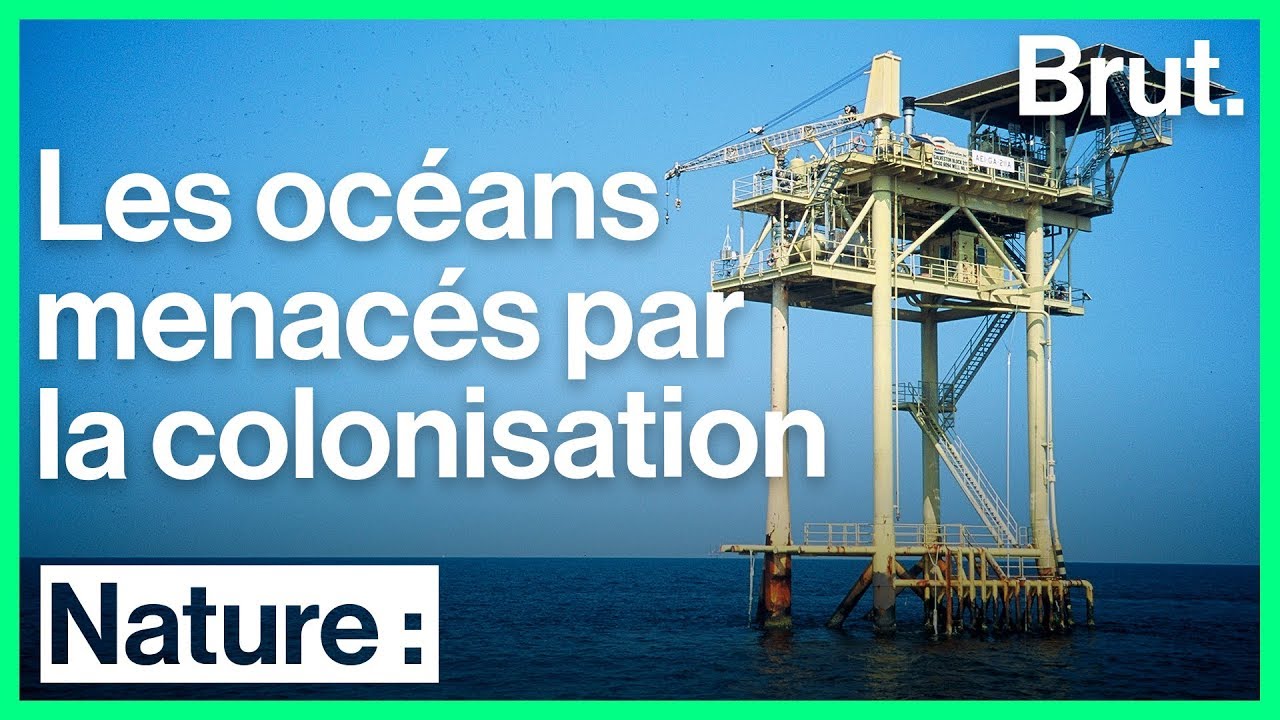 Une nouvelle forme de colonisation menace l’océan