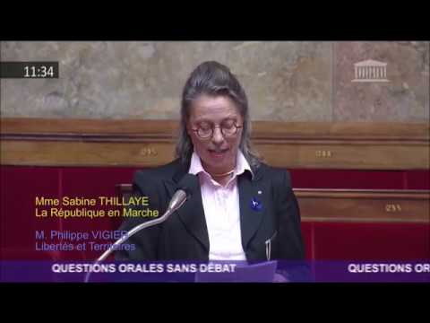 Usine Sandvik de Fondettes : Sabine Thillaye interroge le Gouvernement