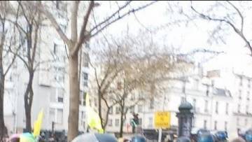 Paris Cortège Gilet jaune