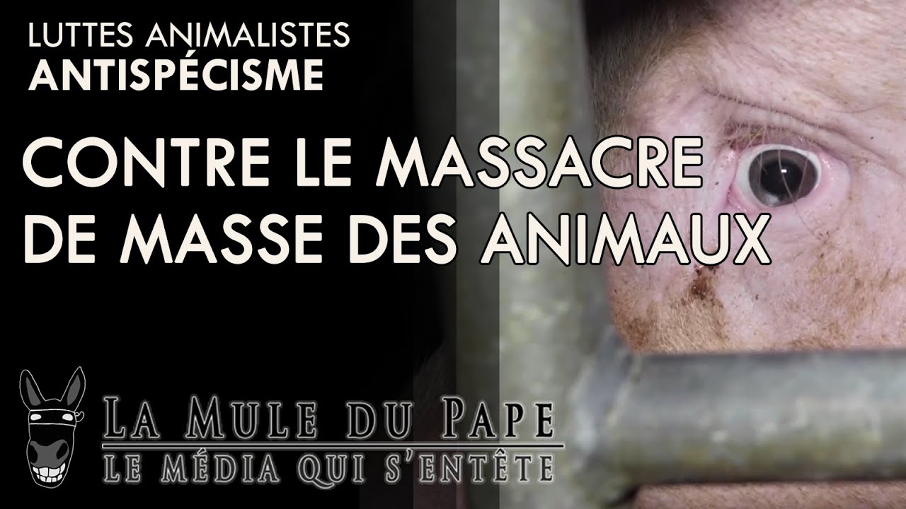 Antispécisme, contre le massacre de masse des animaux