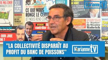Emmanuel Todd : « La collectivité disparaît au profit du banc de poissons »