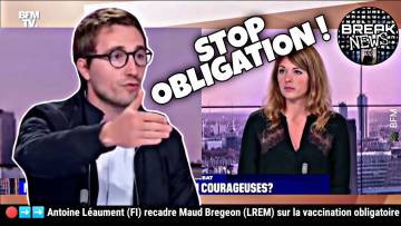 Antoine Léaument (FI) recadre Maud Bregeon (LREM) sur la vaccination obligatoire