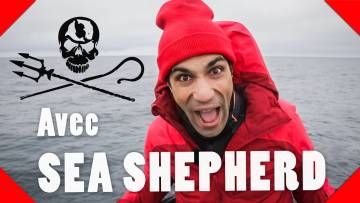 AMI DES LOBBIES  – Avec Sea Shepherd