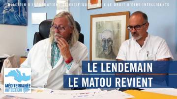 Le lendemain, le matou revient