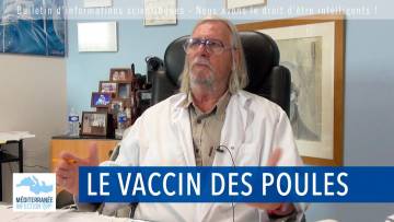 Le vaccin des poules