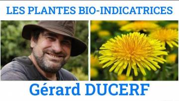 Les plantes bio indicatrices – Gérard Ducerf