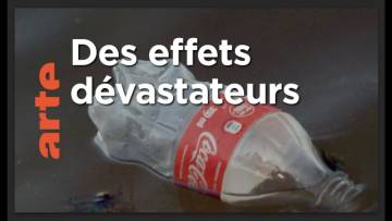 Coca-Cola, leader pollueur