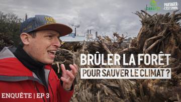 ENQUÊTE : Brûler la Forêt pour Sauver le Climat ? | EP 3 – Le bois énergie