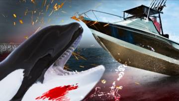 La vérité sur les attaques d’orques à Gibraltar