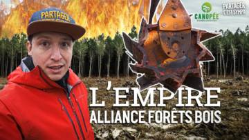 ENQUÊTE : Un Empire Industriel en Forêt Française | EP 4 : Alliance Forêts Bois