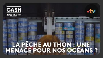 Comment les industriels de la pêche au thon menacent nos océans – Cash investigation