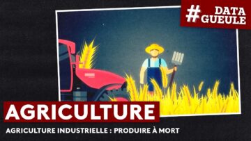 Agriculture industrielle : produire à mort – #DATAGUEULE 69