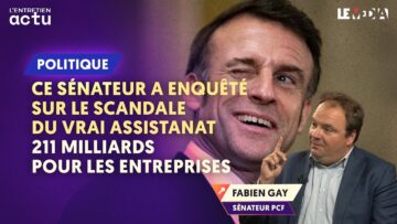 CE SÉNATEUR A ENQUÊTÉ SUR LE SCANDALE DU VRAI ASSISTANAT : 211 MILLIARDS POUR LES ENTREPRISES