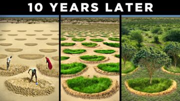 Au cœur du mégaprojet de forêt nourricière en Afrique