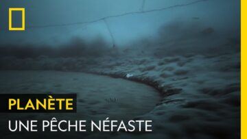 La pêche industrielle nuit à l’environnement mais aussi aux habitants des côtes