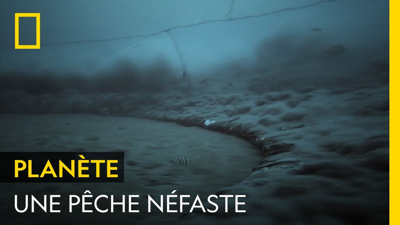 La pêche industrielle nuit à l’environnement mais aussi aux habitants des côtes