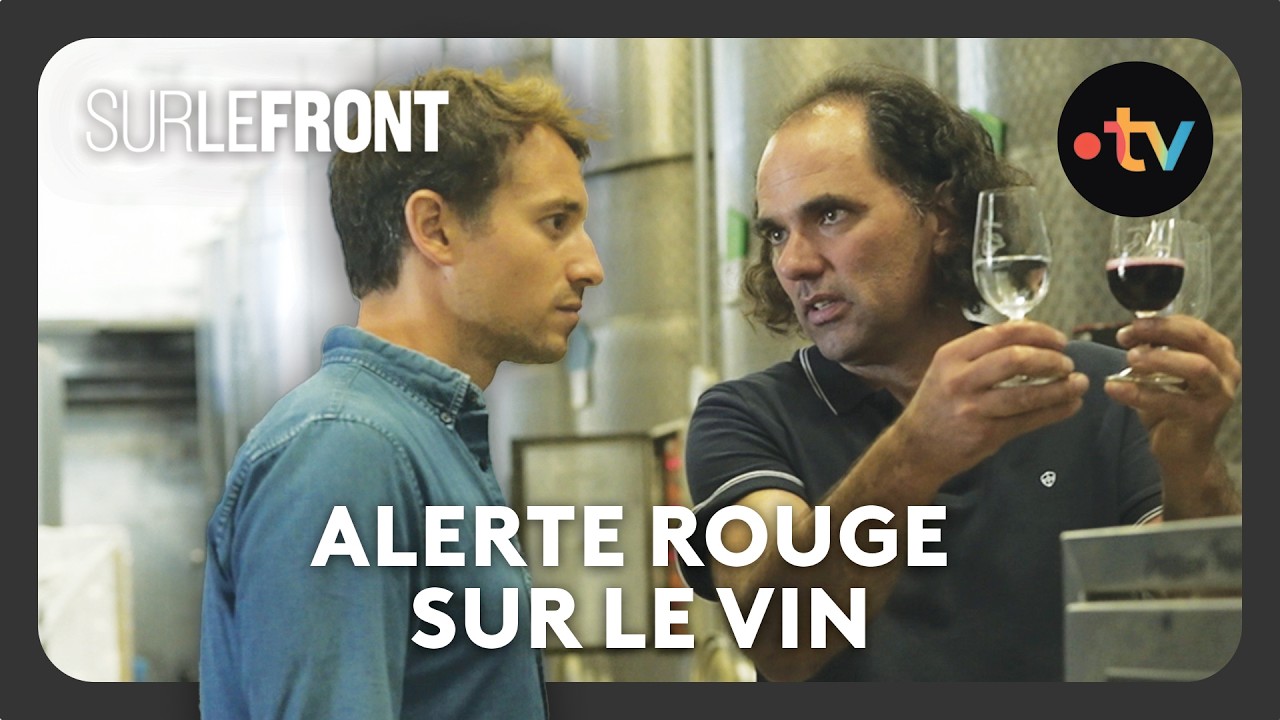 Alerte rouge sur le vin (Intégrale) – Sur le front avec Hugo Clément