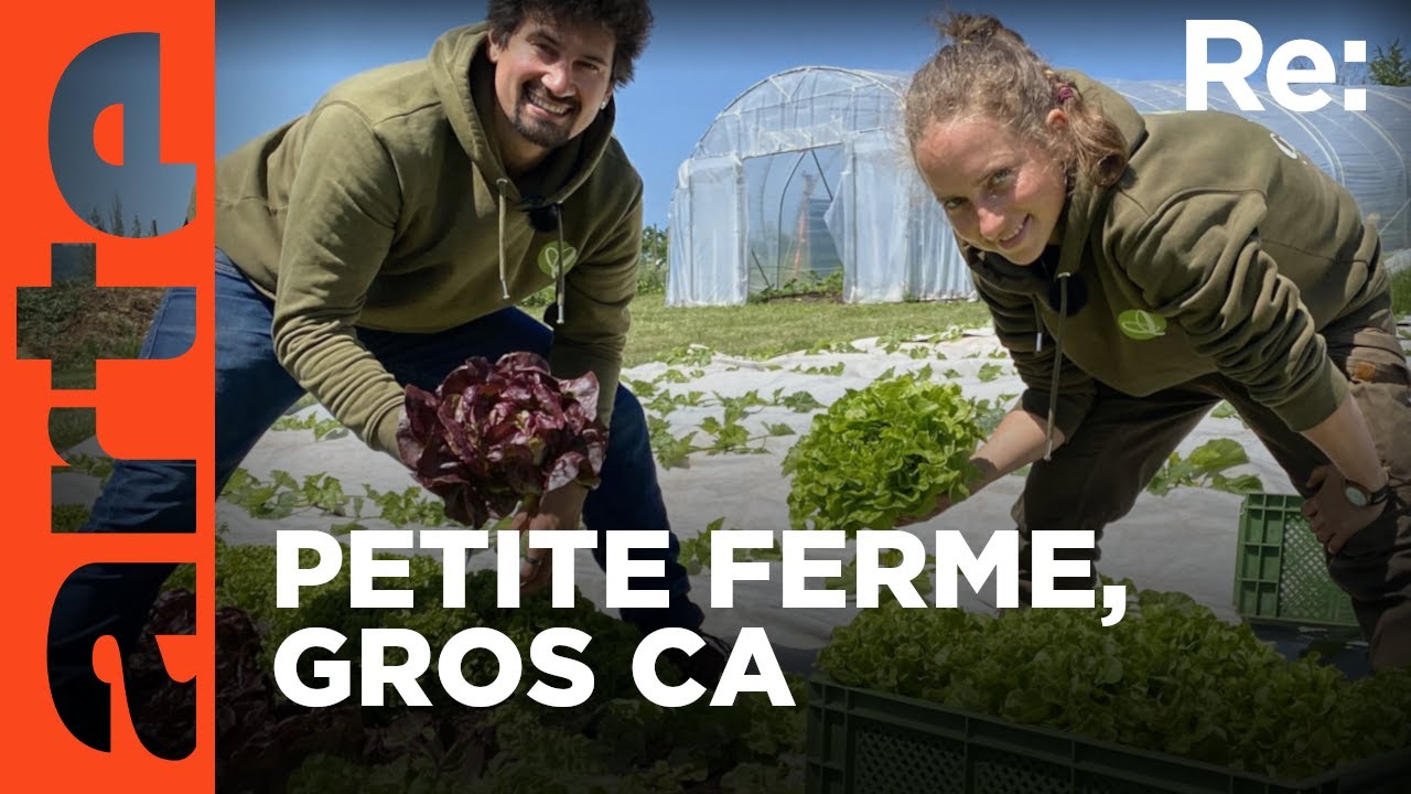 Microfermes, des exploitations très rentables | Reportage (2023)