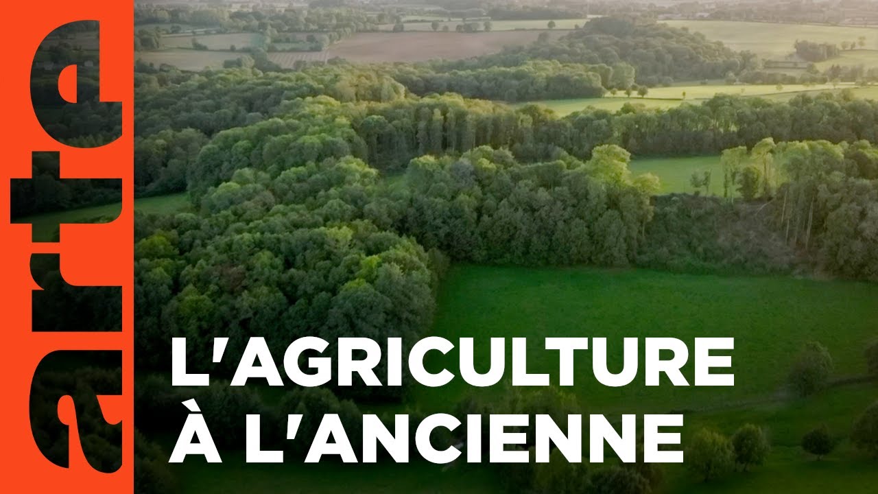 Redécouvrir le bocage | Les promesses de la terre