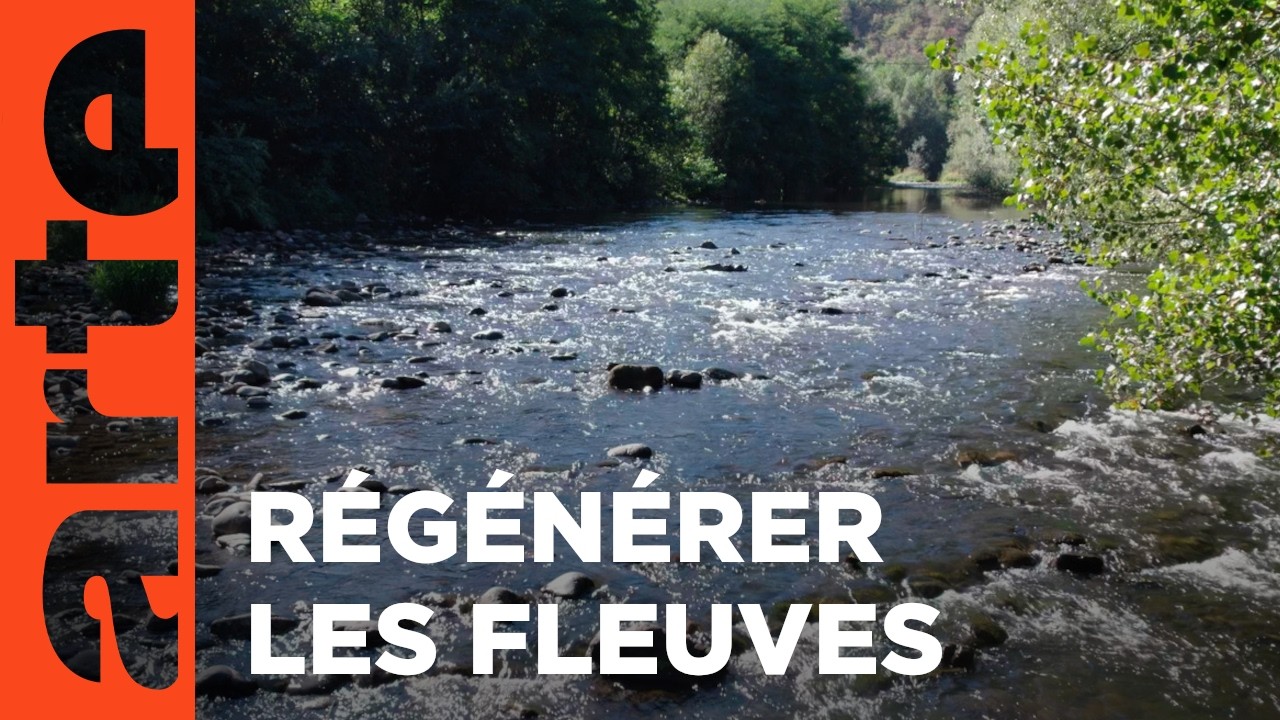 Redonner vie aux rivières | Les promesses de la terre
