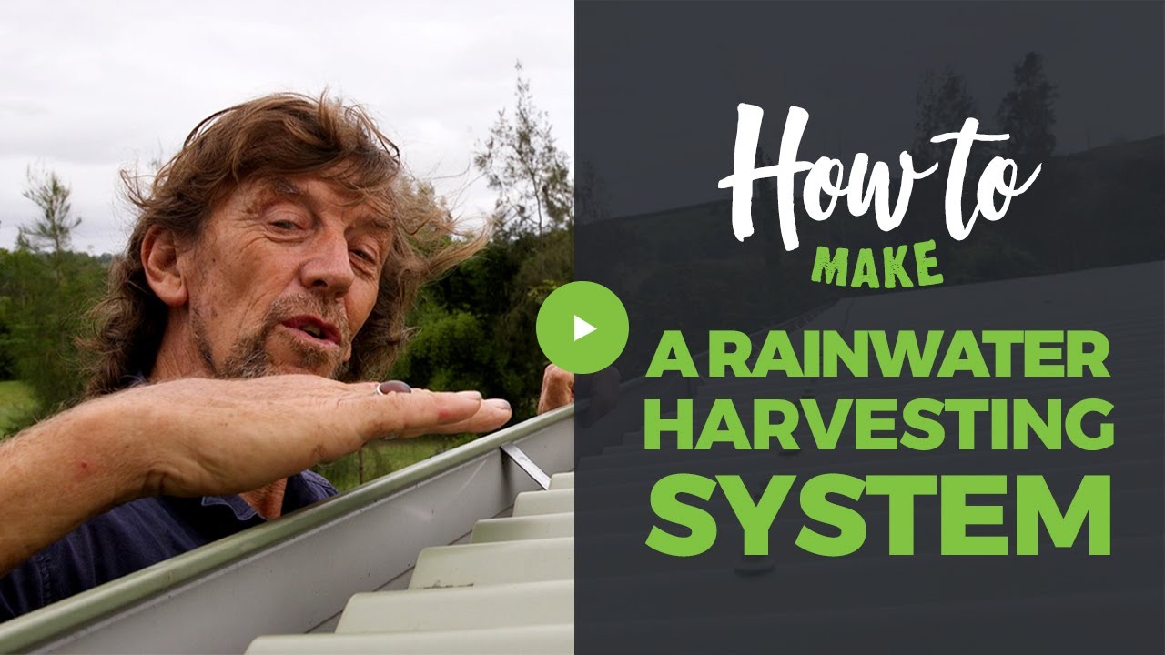 How to Make a Rainwater Harvesting System
